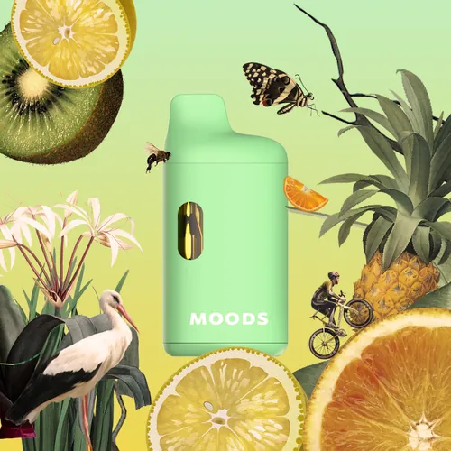 Everglade Haze AIO [2g] by Moods - 2.000g Disposable