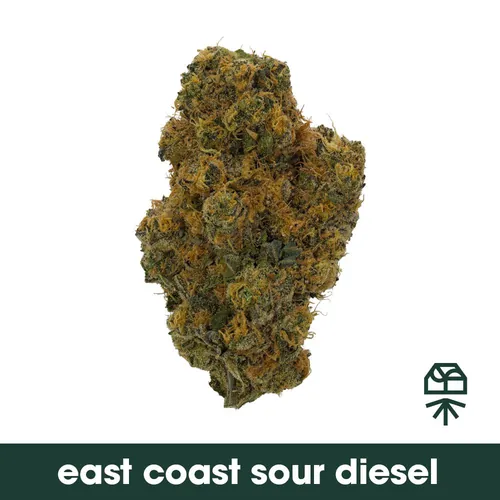East Coast Sour Diesel - 