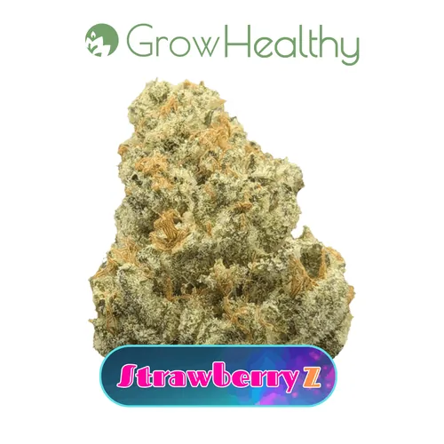 Strawberry Z Flower by GrowHealthy - 3.500g Whole
