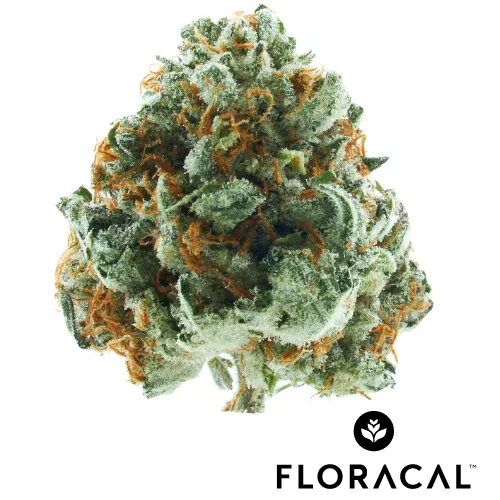  from  product image