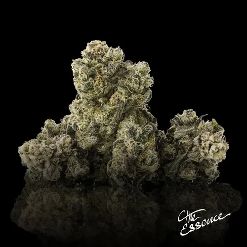 Nutcrackerz by (the) Essence - 3.500g Whole