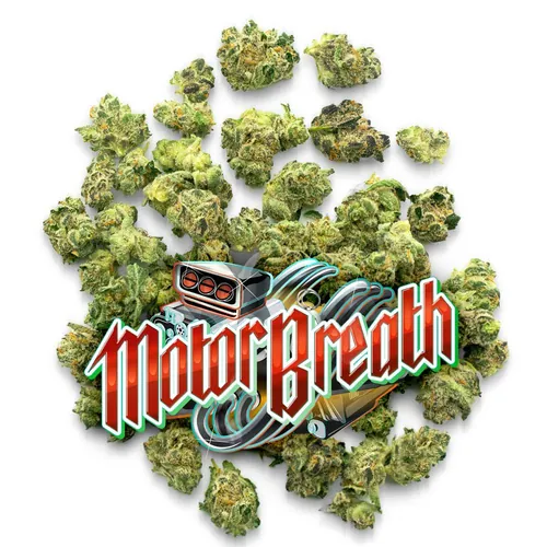 Motor Breath - 
