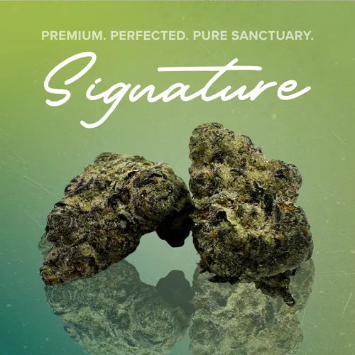 Lemon Cherry Gelato Signature - 3.5g from  product image