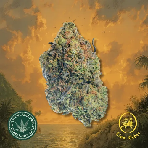 Lion Fuel by Lion Order - 3.500g Whole