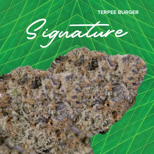 {'strain': 'Signature  Terpee Burger', 'strain_type': 'Hybrid', 'company': 'Sanctuary', 'brand': 'Sanctuary Cannabis', 'price': Decimal('48.00'), 'regular_price': Decimal('48.00'), 'thc': Decimal('28.90'), 'cbd': Decimal('0.00'), 'terps': Decimal('0.00'), 'grams': Decimal('3.500'), 'dollars_per_thcg': Decimal('47.450'), 'dollars_per_g': Decimal('13.710'), 'product_format': 'Flower', 'product_sub_format': 'Whole', 'dispensary_cities': ['Palatka'], 'main_url': 'https://www.sanctuarymed.com/near-me/florida-cannabis-dispensary/palatka-fl-cannabis-dispensary?dtche%5Bproduct%5D=signature-3-5g-terpee-burger', 'display_image_url': 'https://thchunter-images.s3.us-east-2.amazonaws.com/product_images/13152ec9-9095-41a9-a67b-69567a3ae835.webp', 'id': 12609926, 'company_logo_file': 'Sanctuary.jpg', 'company__premium_company': False, 'company__name': 'Sanctuary'}