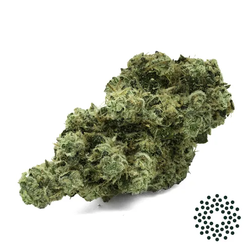St. Marks Skunk - 