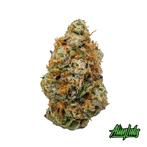 GMA Flower from  product image