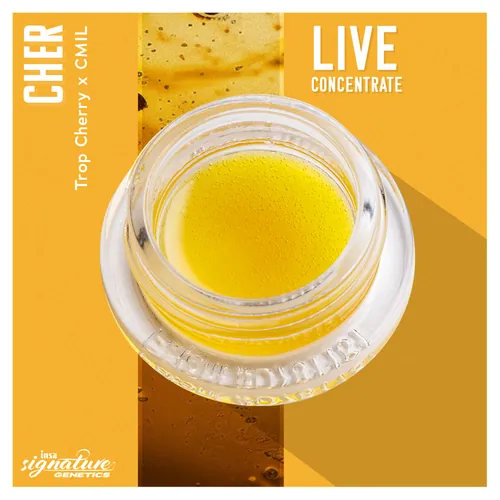 Live Budder - Pi Head from  product image