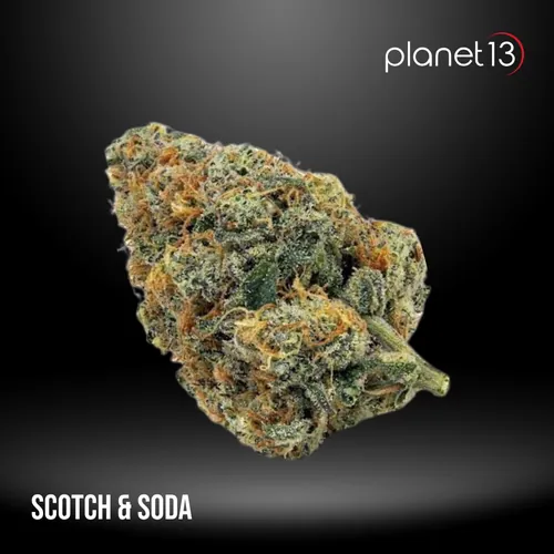 Scotch & Soda 3.5g Pouch Tier 1 from  product image