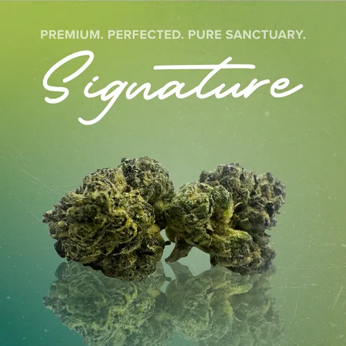 Dolato 41 Signature - 3.5g from  product image