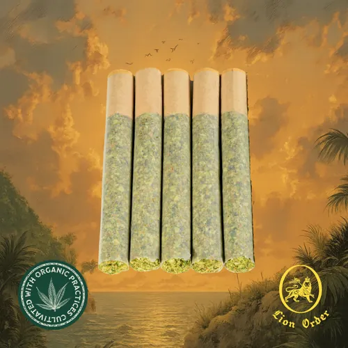 Runna Gal by Lion Order - 0.700g PreRoll