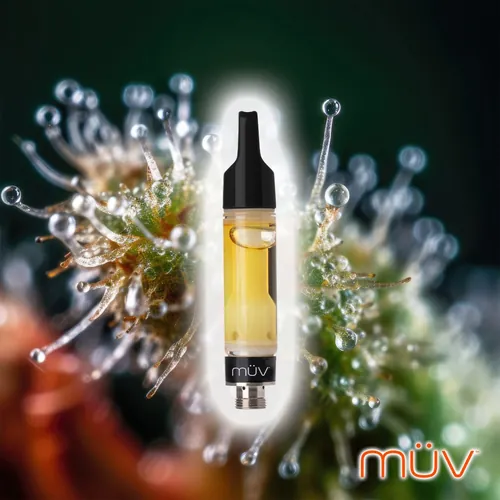 B-52 Bomber by MÜV - 0.500g Live Resin