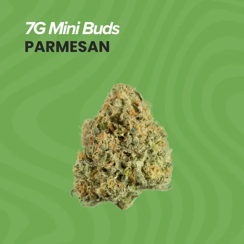 Mini Buds 7g Parmesan