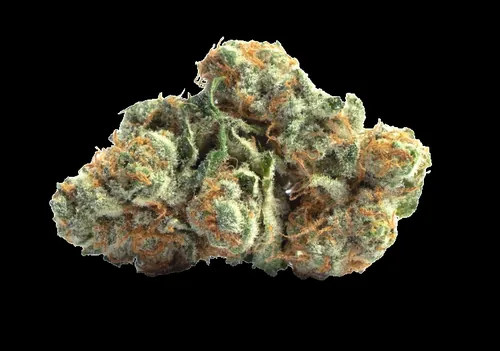 image of Sanctuary Naturals 3.5g Ztan Lee