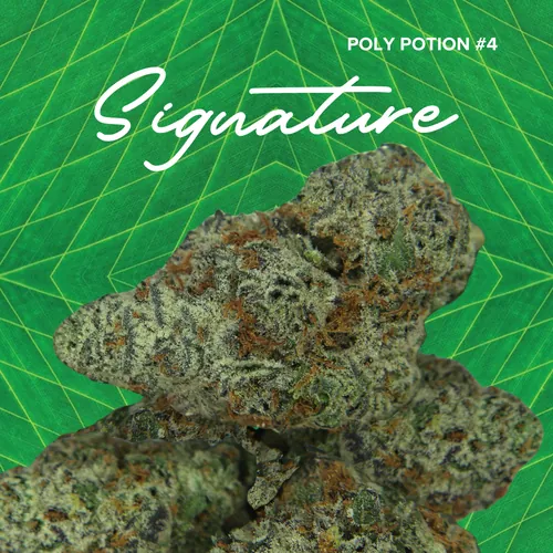 {'strain': 'Signature  Poly P. #4', 'strain_type': 'Sativa', 'company': 'Sanctuary', 'brand': 'Sanctuary Cannabis', 'price': Decimal('24.00'), 'regular_price': Decimal('48.00'), 'thc': Decimal('29.10'), 'cbd': Decimal('0.00'), 'terps': Decimal('0.00'), 'grams': Decimal('3.500'), 'dollars_per_thcg': Decimal('23.560'), 'dollars_per_g': Decimal('6.860'), 'product_format': 'Flower', 'product_sub_format': 'Whole', 'dispensary_cities': ['Palatka'], 'main_url': 'https://www.sanctuarymed.com/near-me/florida-cannabis-dispensary/palatka-fl-cannabis-dispensary?dtche%5Bproduct%5D=signature-3-5g-poly-p-4', 'display_image_url': 'https://thchunter-images.s3.us-east-2.amazonaws.com/product_images/1832fca4-08ea-40f4-9415-c8ddb31d3729.webp', 'id': 13128999, 'company_logo_file': 'Sanctuary.jpg', 'company__premium_company': False, 'company__name': 'Sanctuary'}