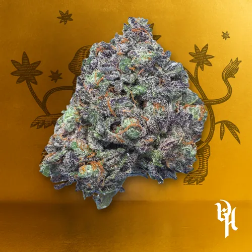 Dark Void #1 by Doghouse - 3.500g Whole