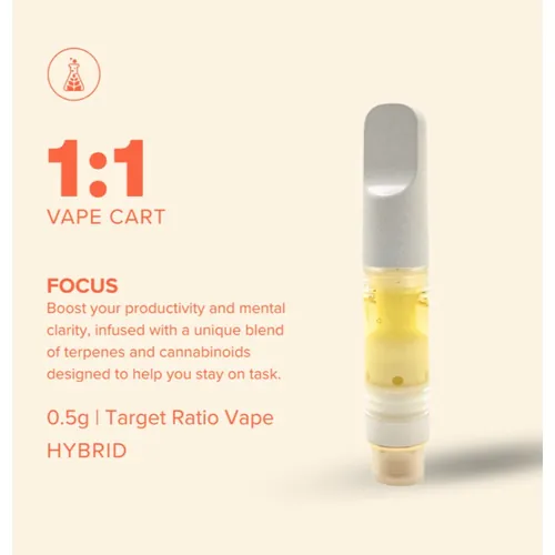 Focus 1 1 Hybrid - 