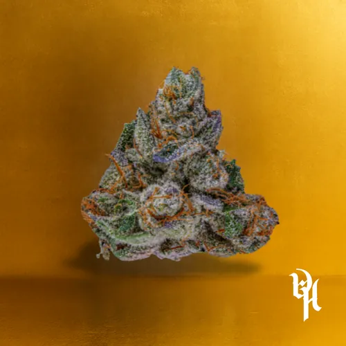 Starkiller OG - 