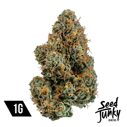 Lemon Fruz Flower by Seed Junky - 1.000g Whole