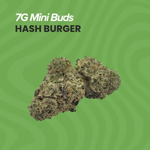 Mini Buds 7g Hash Burger by Sanctuary Cannabis - 7.000g Smalls