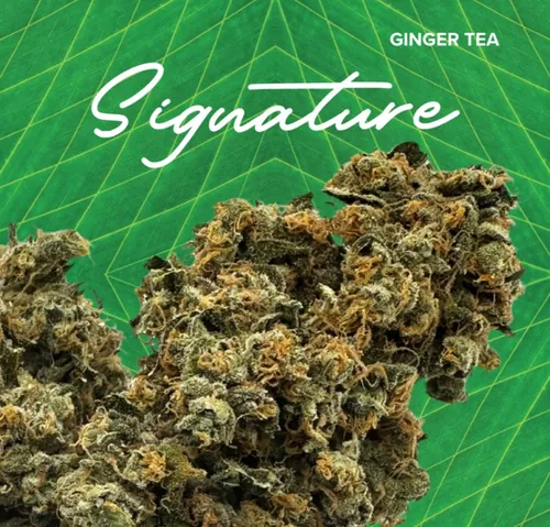 Signature  Ginger Tea - 