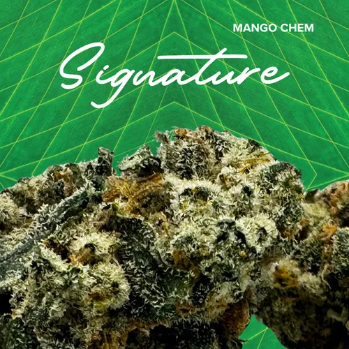 Signature | Mango Chem | 3.5g