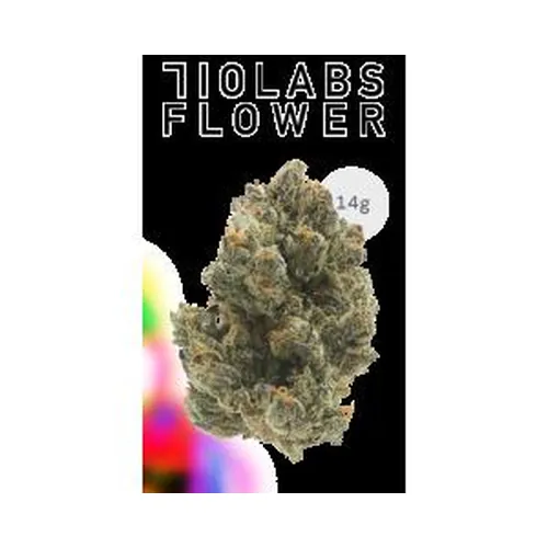 Gg4 - 