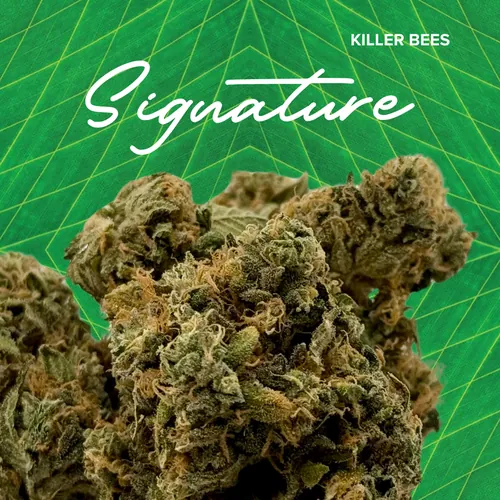 {'strain': 'Signature  Killer Bees', 'strain_type': 'Sativa Hybrid', 'company': 'Sanctuary', 'brand': 'Sanctuary Cannabis', 'price': Decimal('24.00'), 'regular_price': Decimal('48.00'), 'thc': Decimal('29.40'), 'cbd': Decimal('0.00'), 'terps': Decimal('0.00'), 'grams': Decimal('3.500'), 'dollars_per_thcg': Decimal('23.320'), 'dollars_per_g': Decimal('6.860'), 'product_format': 'Flower', 'product_sub_format': 'Whole', 'dispensary_cities': ['Palatka'], 'main_url': 'https://www.sanctuarymed.com/near-me/florida-cannabis-dispensary/palatka-fl-cannabis-dispensary?dtche%5Bproduct%5D=signature-3-5g-killer-bees', 'display_image_url': 'https://thchunter-images.s3.us-east-2.amazonaws.com/product_images/19e9b003-0e32-4be6-9da9-e3d0ace62307.webp', 'id': 13129000, 'company_logo_file': 'Sanctuary.jpg', 'company__premium_company': False, 'company__name': 'Sanctuary'}