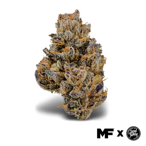 Tropical Burst Flower from  product image