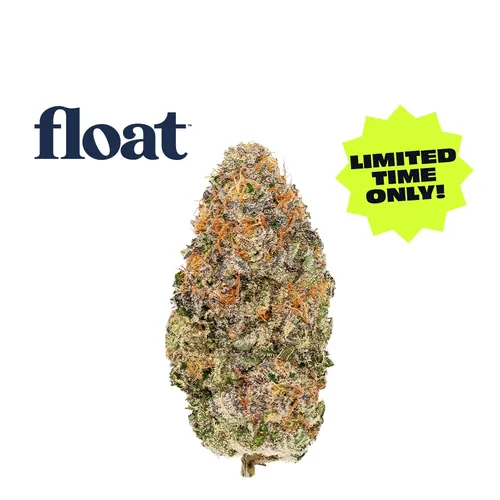 Blueberry Waffle -  cannabis product