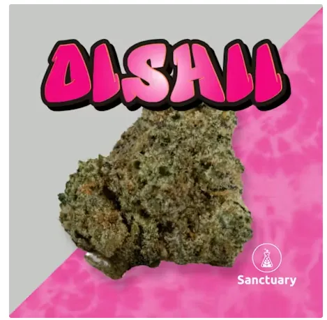Oishii - 
