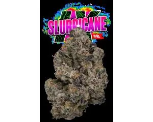 Slurricane 2 Eighth - 