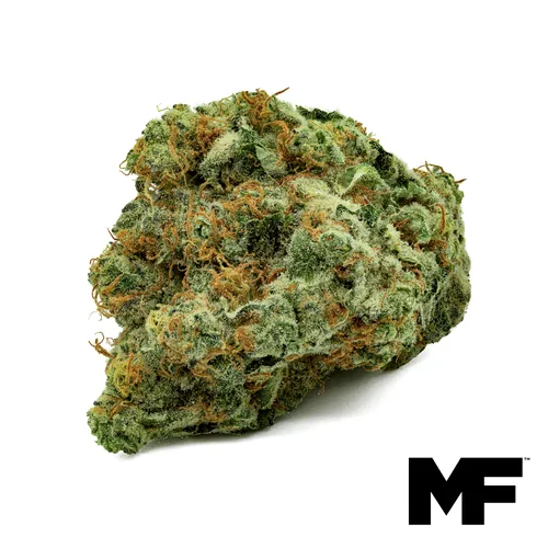 Frit Gushrs - Whole Flower 3.5G from  product image