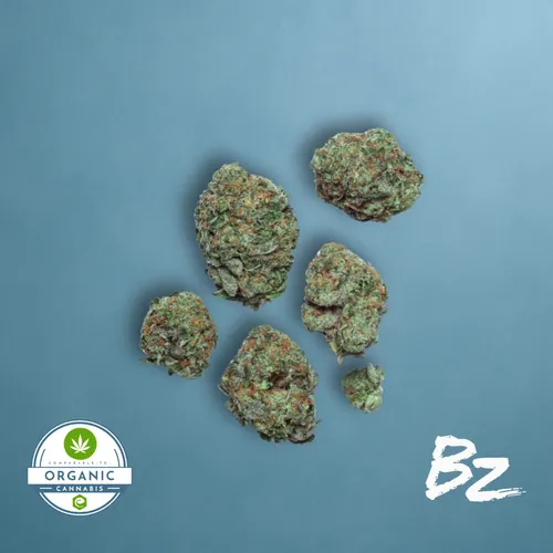 image of Dealers Choice