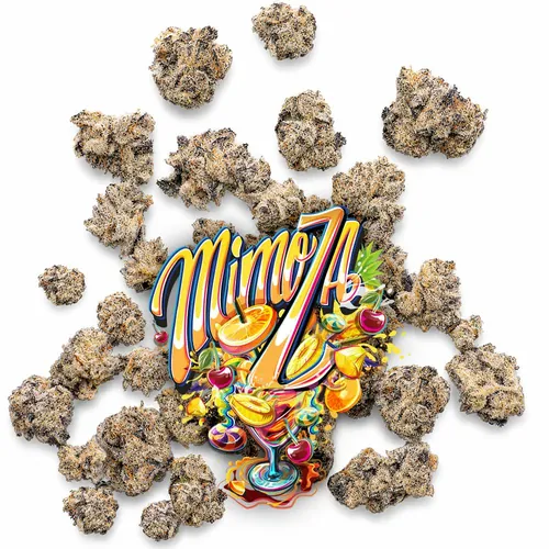 Mimoza - Pops by Jungle Boys - 7.000g Smalls