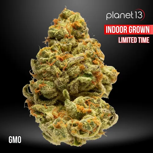 GMO Indoor Flower Jar 3.5g from  product image