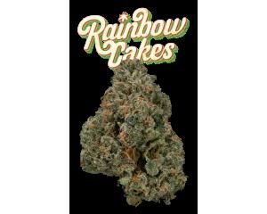 Rainbow Cakes #5 Eighth - 