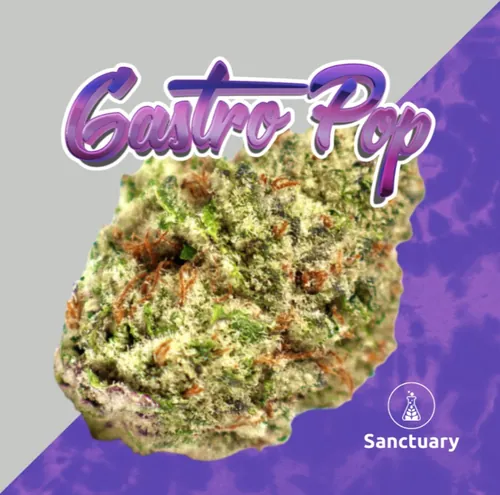{'strain': 'Gastro Pop', 'strain_type': 'Indica Hybrid', 'company': 'Sanctuary', 'brand': 'Sanctuary Cannabis', 'price': Decimal('22.00'), 'regular_price': Decimal('44.00'), 'thc': Decimal('30.90'), 'cbd': Decimal('0.00'), 'terps': Decimal('0.00'), 'grams': Decimal('3.500'), 'dollars_per_thcg': Decimal('20.340'), 'dollars_per_g': Decimal('6.290'), 'product_format': 'Flower', 'product_sub_format': 'Smalls', 'dispensary_cities': ['Sebring'], 'main_url': 'https://www.sanctuarymed.com/near-me/florida-cannabis-dispensary/sebring-fl-cannabis-dispensary?dtche%5Bproduct%5D=gastro-pop-3-5g-small-bud', 'display_image_url': 'https://thchunter-images.s3.us-east-2.amazonaws.com/product_images/1f785c8a-d6bb-45a8-9541-232fc68a5dbf.webp', 'id': 12476262, 'company_logo_file': 'Sanctuary.jpg', 'company__premium_company': False, 'company__name': 'Sanctuary'}