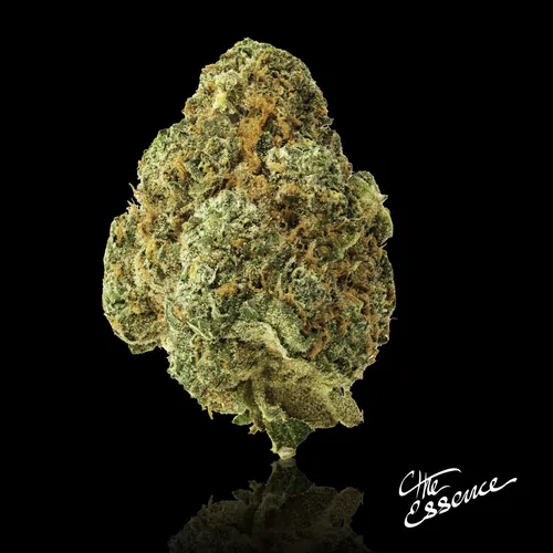 Tropical Fusion from  product image