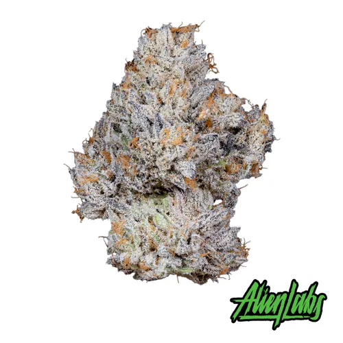 Creme De Menthe Flower by Misfits - 7.000g Whole