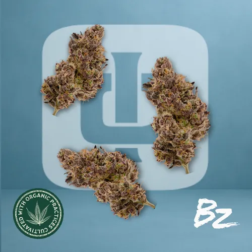 Hash Burger by Bz By Ideal - 3.500g Hash