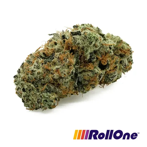 Garlic OZ - Whole Flower 3.5G by Roll One - 3.500g Whole
