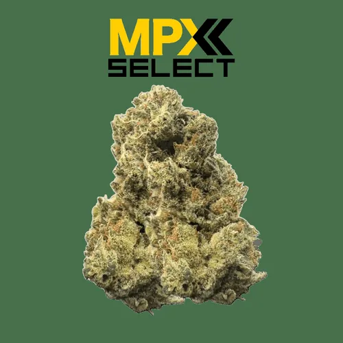 {'strain': 'MPX Select Birds of Paradise Flower', 'strain_type': 'Sativa', 'company': 'GrowHealthy', 'brand': 'MPX Select Flower', 'price': Decimal('35.00'), 'regular_price': Decimal('50.00'), 'thc': Decimal('29.50'), 'cbd': Decimal('0.00'), 'terps': Decimal('0.00'), 'grams': Decimal('3.500'), 'dollars_per_thcg': Decimal('33.900'), 'dollars_per_g': Decimal('10.000'), 'product_format': 'Flower', 'product_sub_format': 'Whole', 'dispensary_cities': ['North Port'], 'main_url': 'https://growhealthy.com/product/mpx-select-birds-of-paradise-flower/?retailer_id=4ab0a054-243f-4af3-8ba8-a54e181cc360', 'display_image_url': 'https://thchunter-images.s3.us-east-2.amazonaws.com/product_images/20b05a8a-9b25-4fc1-8ffc-bea3a006802d.webp', 'id': 12453769, 'company_logo_file': 'Grow-Healthy.jpg', 'company__premium_company': True, 'company__name': 'GrowHealthy'}
