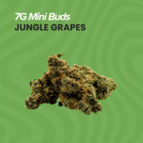 image of Mini Buds Jngle Grpes