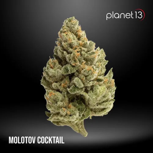 Molotov Cocktail 3.5g Pouch Tier 1 from  product image