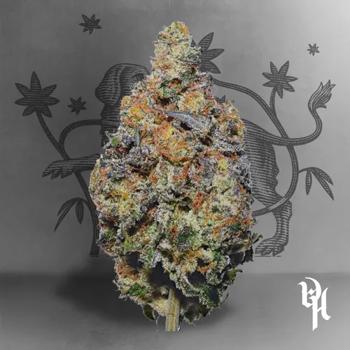 Piggy Bank by Doghouse - Puppiez - 3.500g Whole