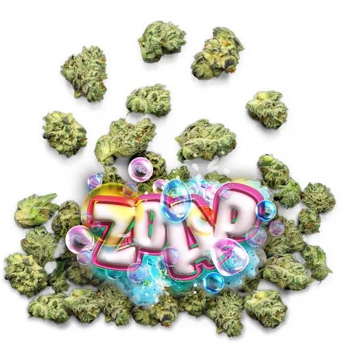Zoap - 