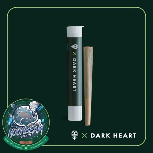 Moonbeam Gelato - 