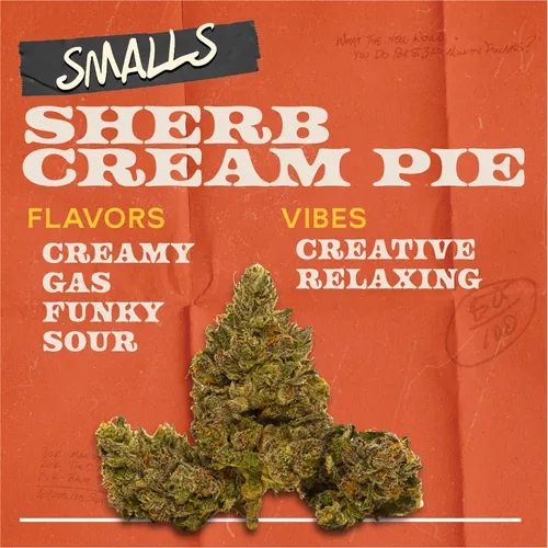 image of Sherb Cream Pie - 7g Smalls Flower