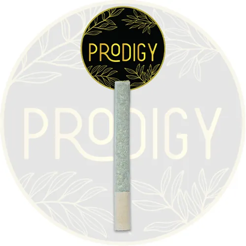  Prodigy  -  cannabis product